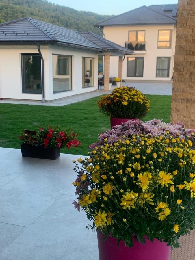 Vila Diamond Lux&Spa Sovata Extérieur photo