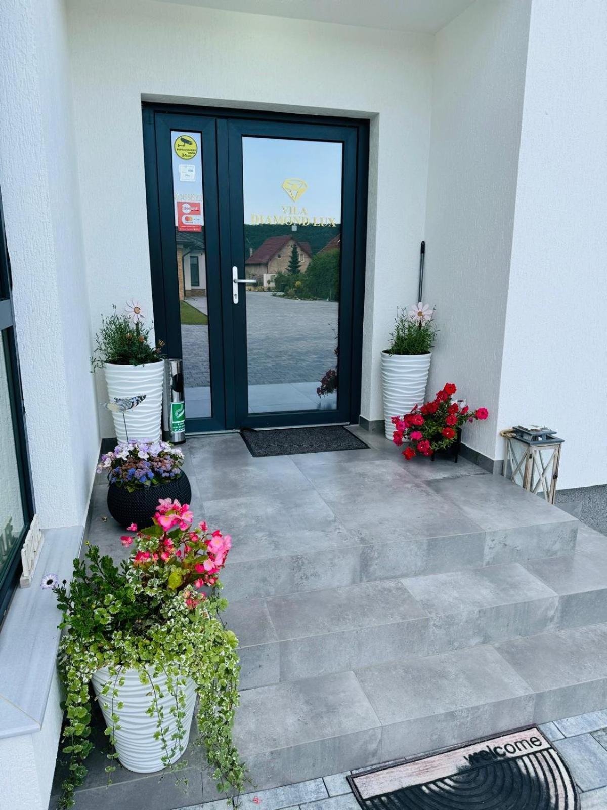 Vila Diamond Lux&Spa Sovata Extérieur photo