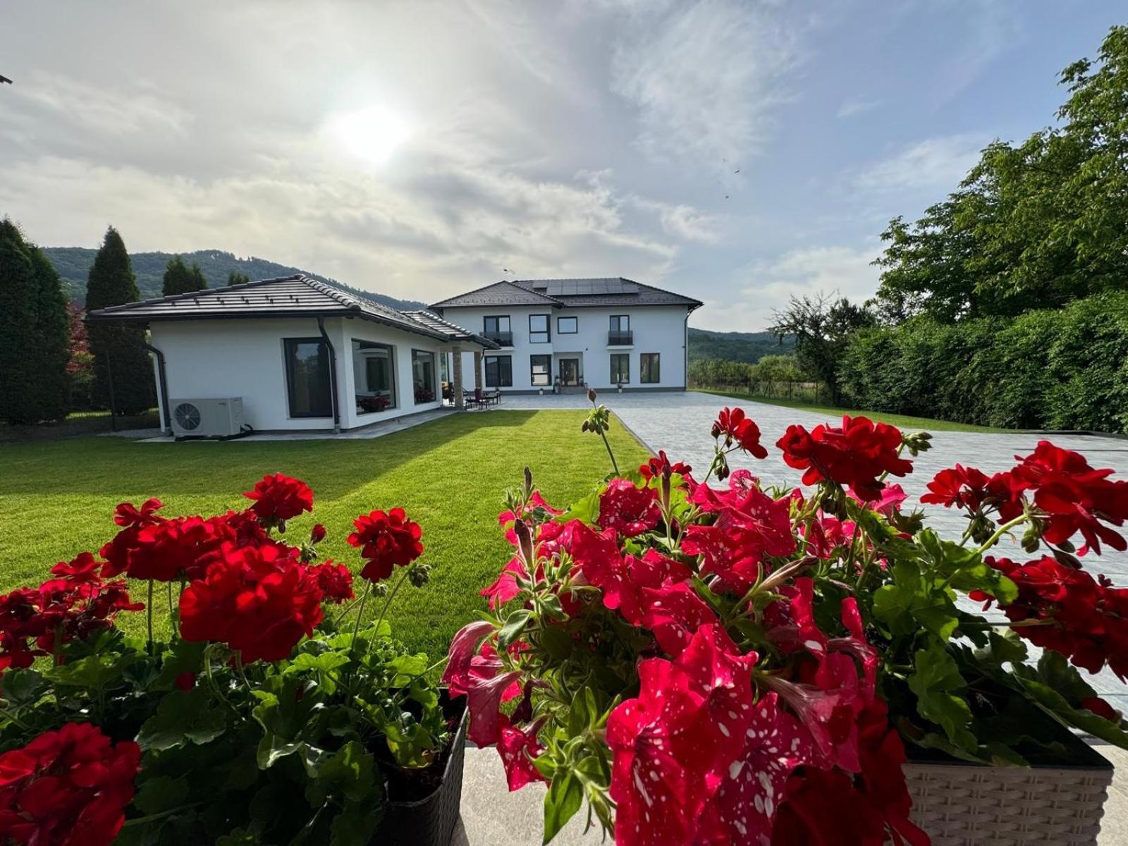 Vila Diamond Lux&Spa Sovata Extérieur photo
