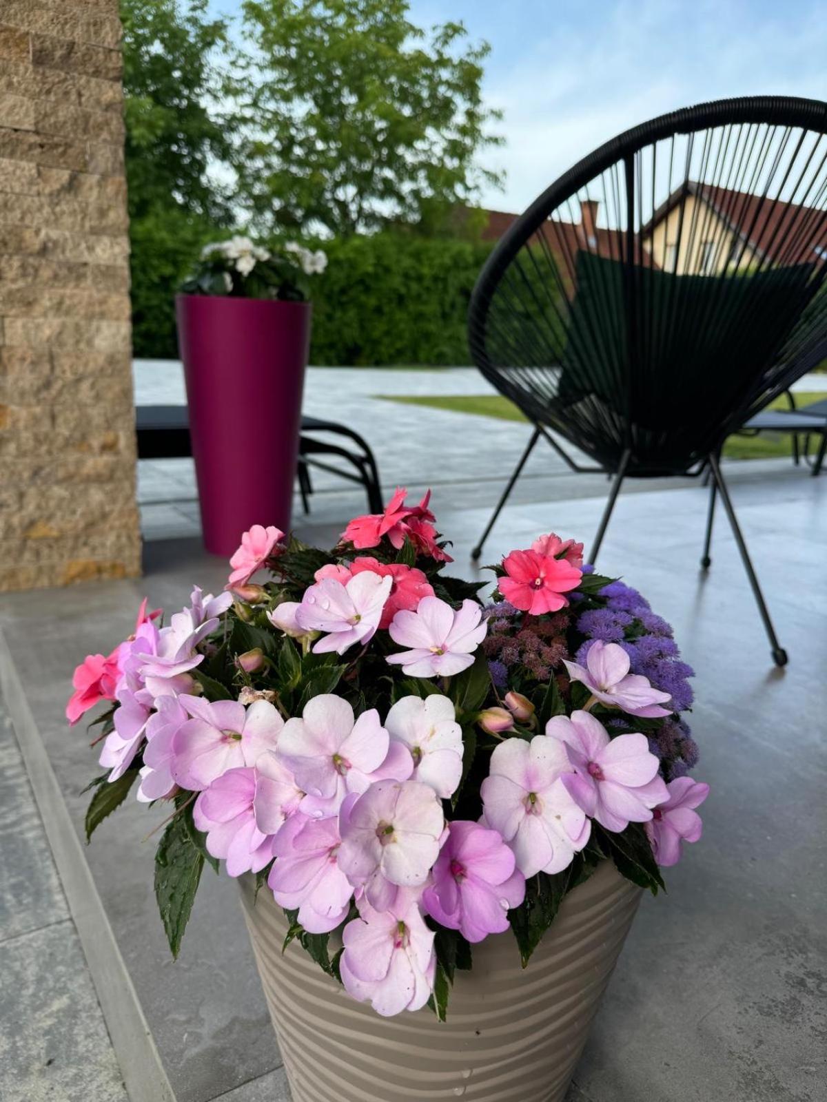 Vila Diamond Lux&Spa Sovata Extérieur photo