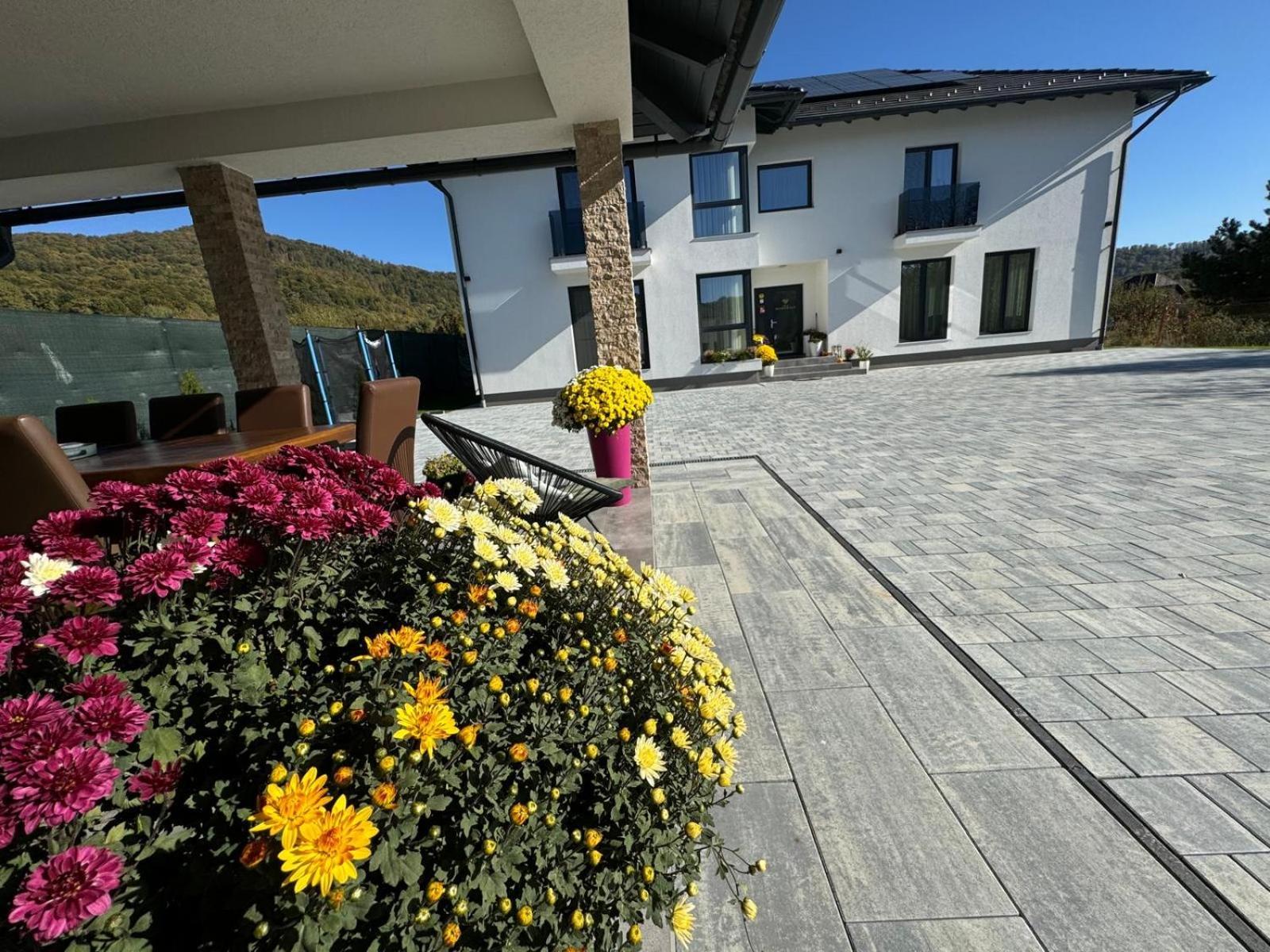Vila Diamond Lux&Spa Sovata Extérieur photo